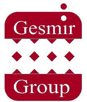 gesmirgroup.com